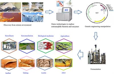 Recent Development of Extremophilic Bacteria and Their Application in Biorefinery